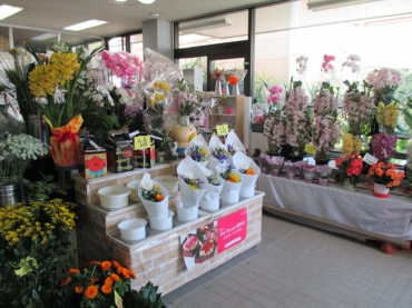 「春木屋生花店」　（神奈川県秦野市）の花屋店舗写真3