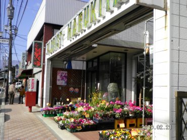 「春木屋生花店」　（神奈川県秦野市）の花屋店舗写真1