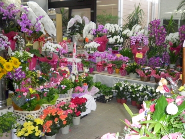 「春木屋生花店」　（神奈川県秦野市）の花屋店舗写真2